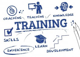 First Aid and CPR Training Courses - Tập huấn kỹ thuật sơ cấp cứu và CPR